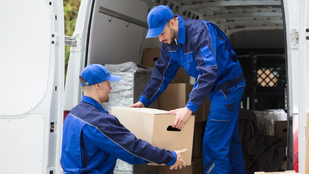 professional packers and movers